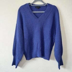 Ann Taylor Blue Knit V-Neck Sweater